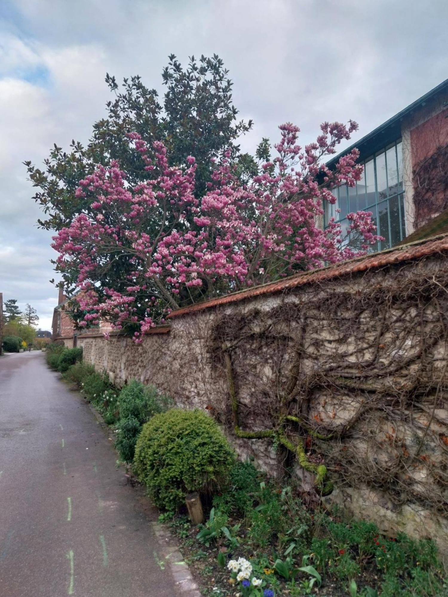 Le Prieure Reposant Port-Villez Exterior foto